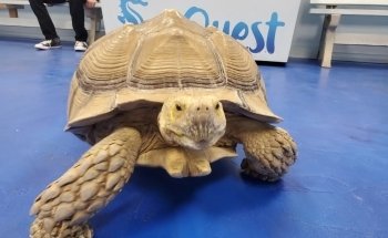 Layton Aquarium & Wildlife