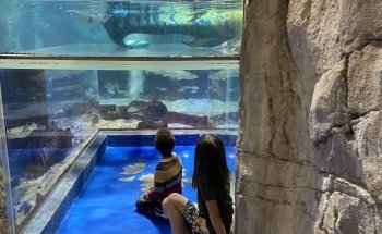 Layton Aquarium & Wildlife