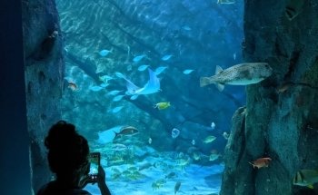 St. Louis Aquarium at Union Station