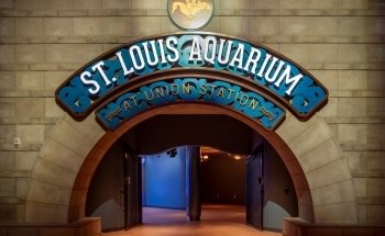 St. Louis Aquarium at Union Station