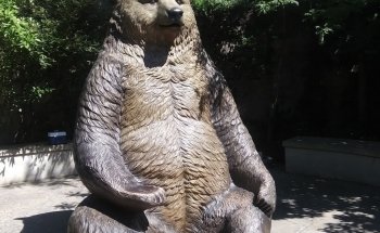Akron Zoo