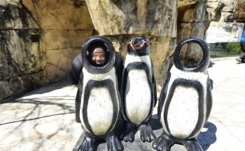 Akron Zoo