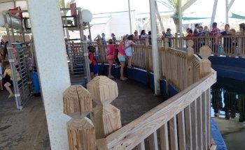 Gulfarium Marine Adventure Park