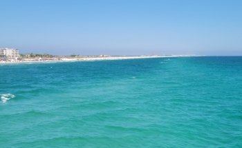 Gulfarium Marine Adventure Park