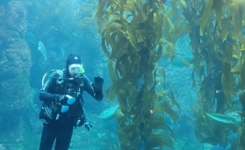Birch Aquarium