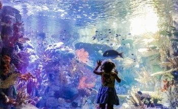 Birch Aquarium