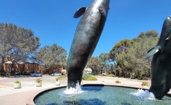 Birch Aquarium