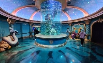 Aquarium at the Boardwalk