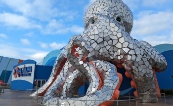 Aquarium at the Boardwalk