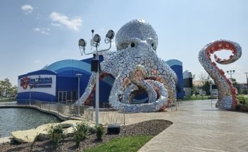 Aquarium at the Boardwalk