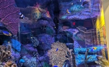 Aquarium at the Boardwalk