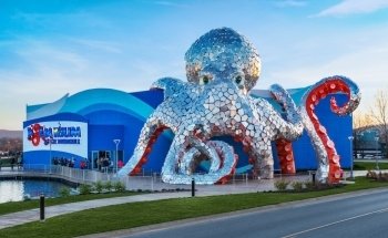 Aquarium at the Boardwalk