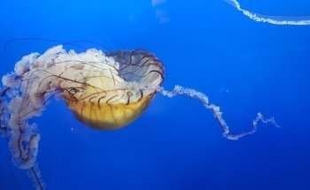 Toledo Zoo Aquarium