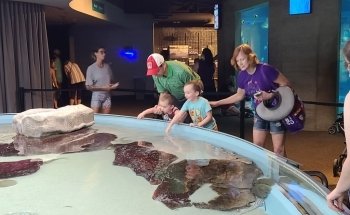 Toledo Zoo Aquarium