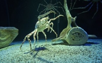 Toledo Zoo Aquarium