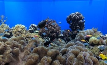 Toledo Zoo Aquarium