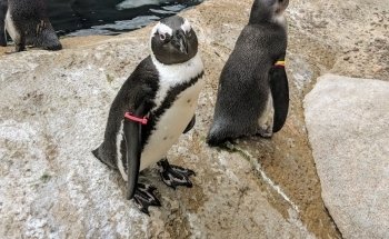 Toledo Zoo Aquarium