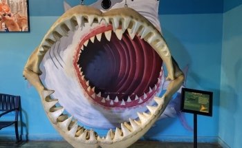 Austin Aquarium