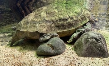 The Maritime Aquarium at Norwalk