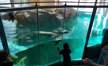 The Maritime Aquarium at Norwalk