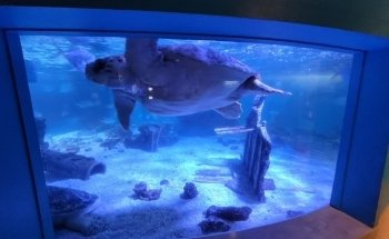 The Maritime Aquarium at Norwalk
