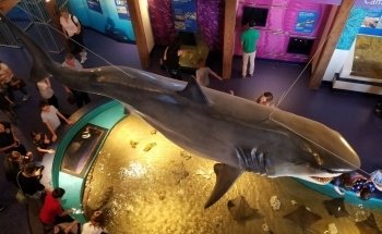 The Maritime Aquarium at Norwalk