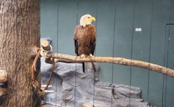 South Carolina Aquarium