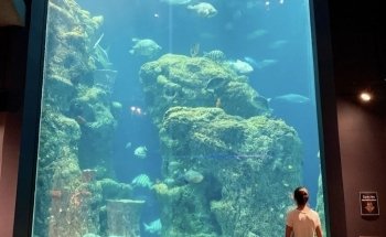 South Carolina Aquarium