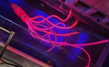 South Carolina Aquarium