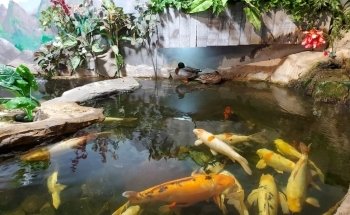 NorCal Aquarium and Wildlife