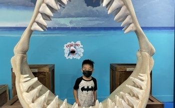 NorCal Aquarium and Wildlife