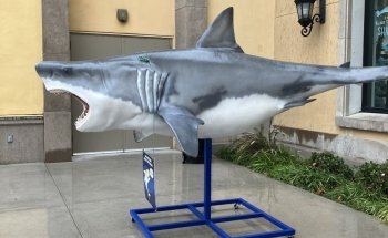 NorCal Aquarium and Wildlife
