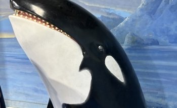 NorCal Aquarium and Wildlife