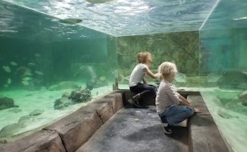 NorCal Aquarium and Wildlife