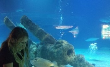 ABQ BioPark Aquarium