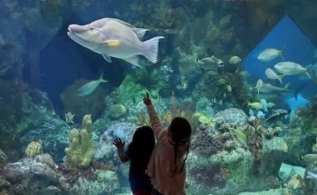 ABQ BioPark Aquarium