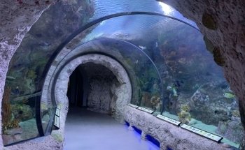 ABQ BioPark Aquarium