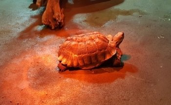 Greater Cleveland Aquarium