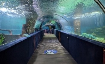 Acuario del Gran Cleveland