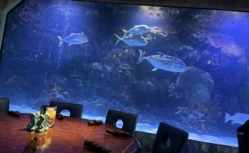 Aquarium Restaurant