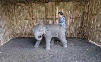 Rosamond Gifford Zoo