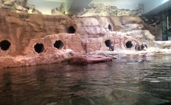 Aquarium of Niagara