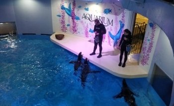 Aquarium of Niagara