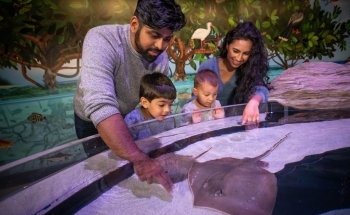 Aquarium of Niagara