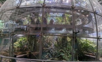 California Academy of Sciences