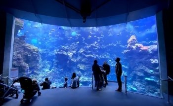 California Academy of Sciences
