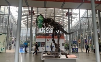 California Academy of Sciences