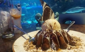 Aquarium Restaurant