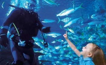 Aquarium Restaurant