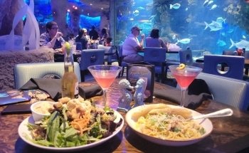 Aquarium Restaurant